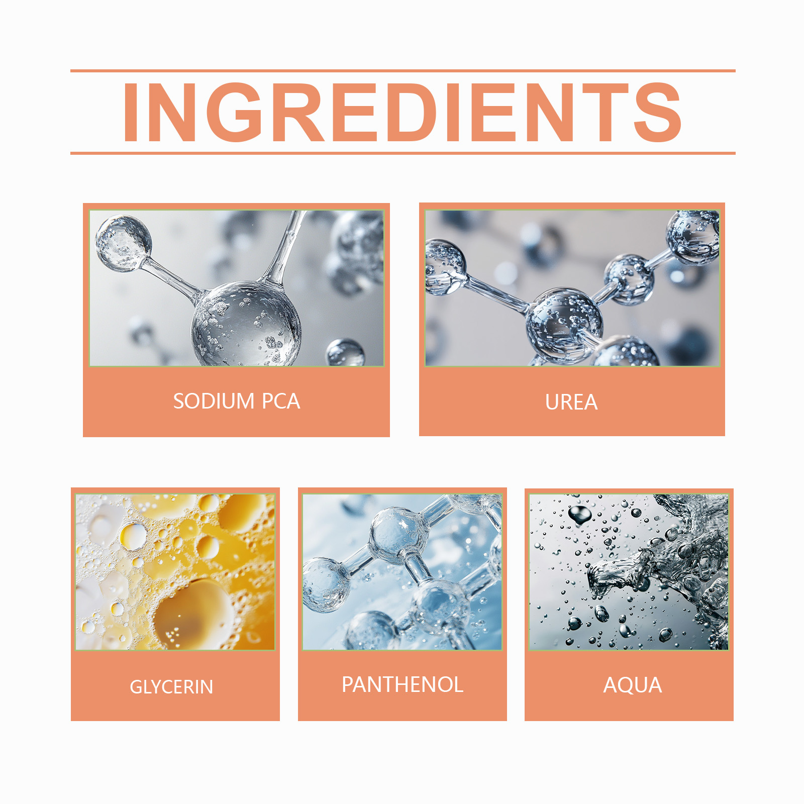 Root Drops Promote the Rapid Development of the Root System of New Plants and Enhance Growth Vitality