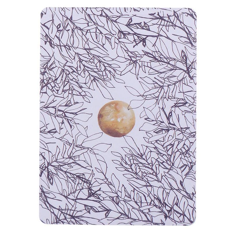 Universe Has Your Back Universe Oracle Cards Tarot Cards English