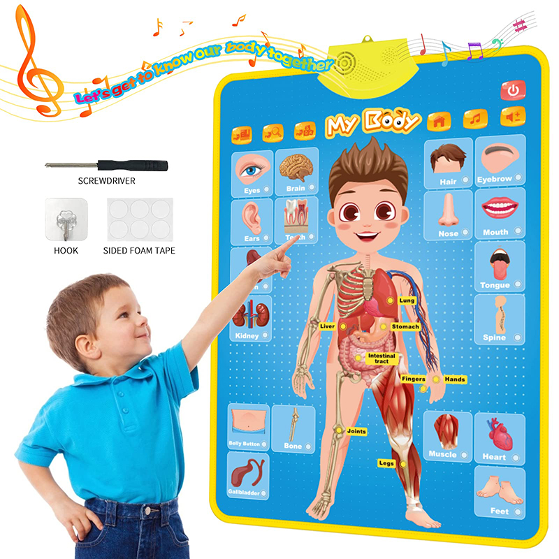 (Animal 945) Electronic English Alphabet Wall Chart Talking ABC Letters 123s Music Poster Educational Learning Toy for Toddler Kids Gifts