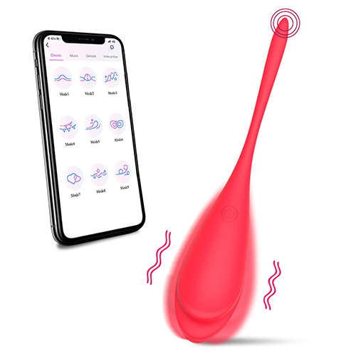 Wireless Vibrator Remote Control Vibrator Wearable Panty Vibrator Egg Bullet G Spot Dildo Massager with APP Control Adult Sex Toys Clitoral Stimulator Women And Couples Sexual Pleasure Tools
