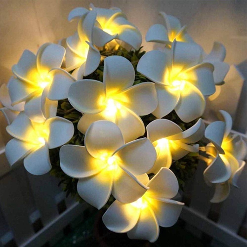 Artificial Plumeria Flower Led String Lights Battery Fairy Lights for Bedroom Home Wedding Hawaiian Luau Party Decor