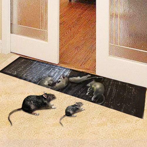 Mice Traps Mouse Rat Trap Bug Terminator Large Size Super Rat Snake Bug Trap