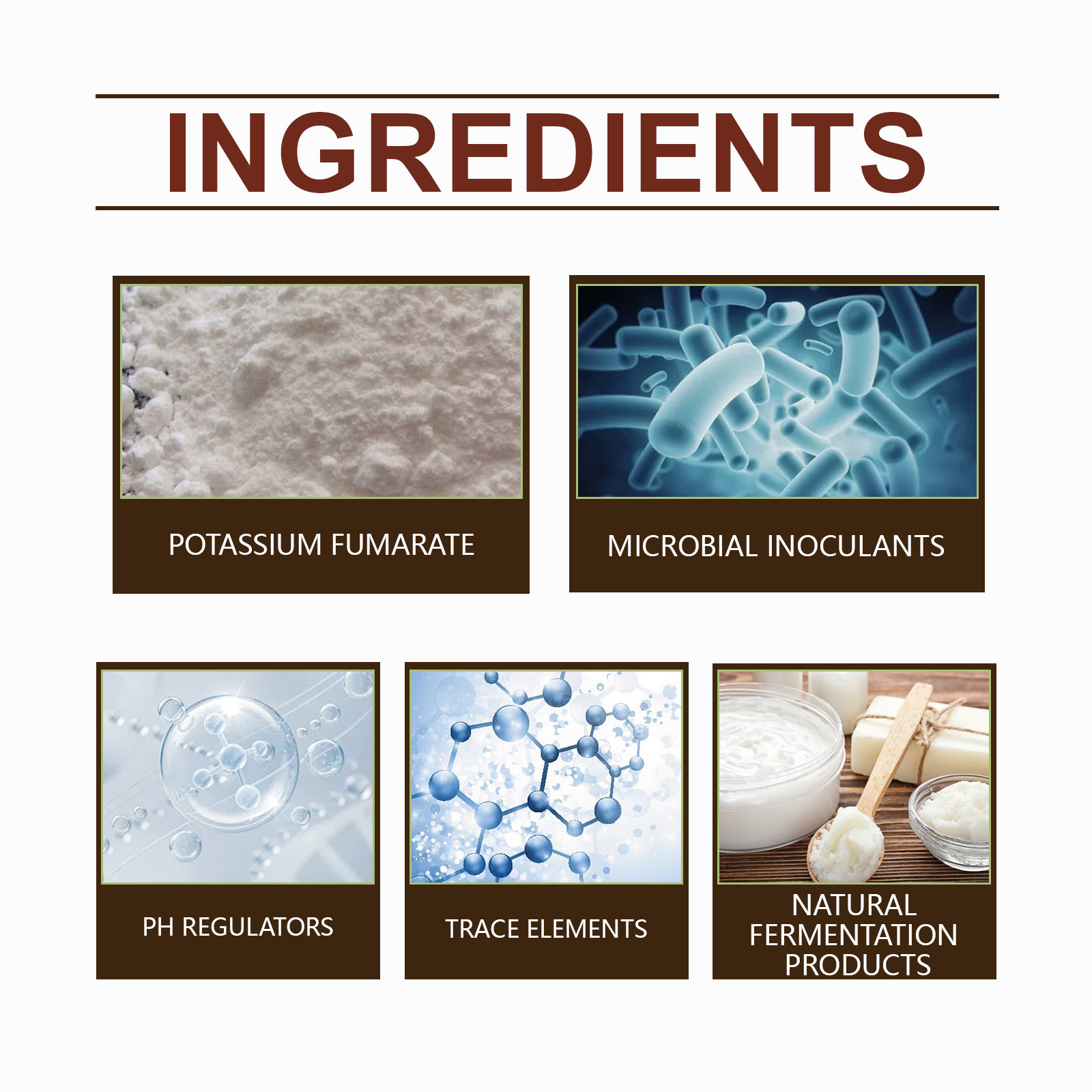 Mycorrhizal Fungi Root Enhancer Promotes Plant Growth Boosts Root Health Enhances Nutrient Absorption for Garden Plants ﻿