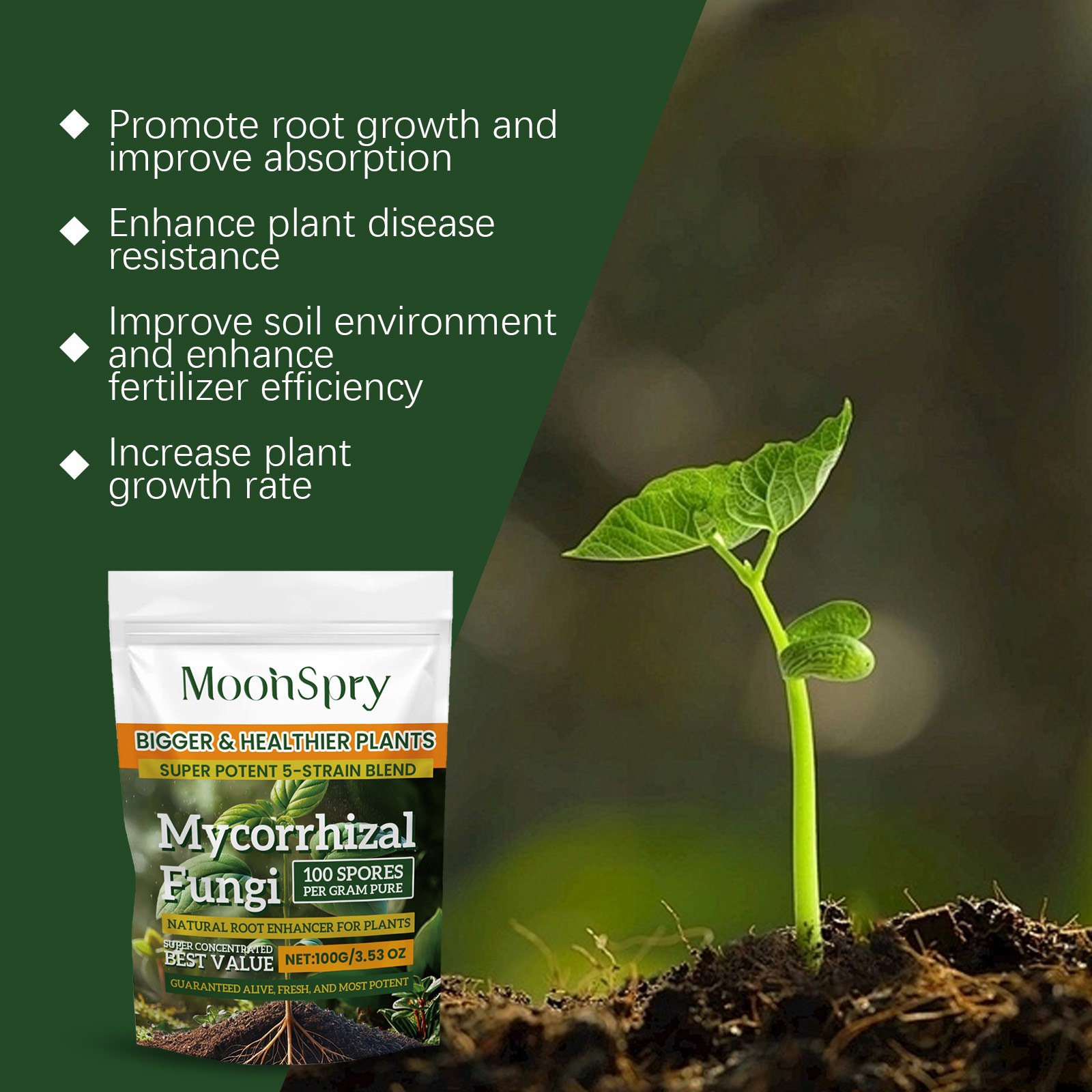 Mycorrhizal Fungi Root Enhancer Promotes Plant Growth Boosts Root Health Enhances Nutrient Absorption for Garden Plants ﻿