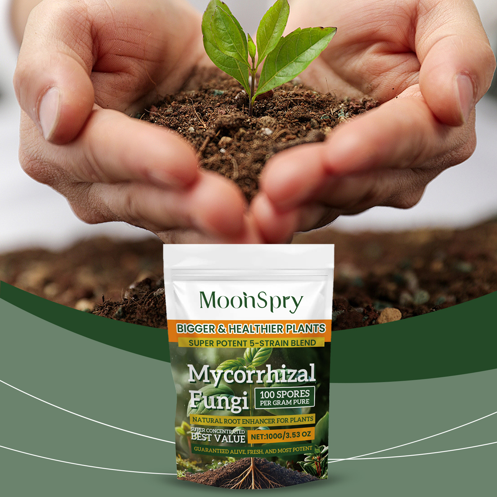 Mycorrhizal Fungi Root Enhancer Promotes Plant Growth Boosts Root Health Enhances Nutrient Absorption for Garden Plants ﻿