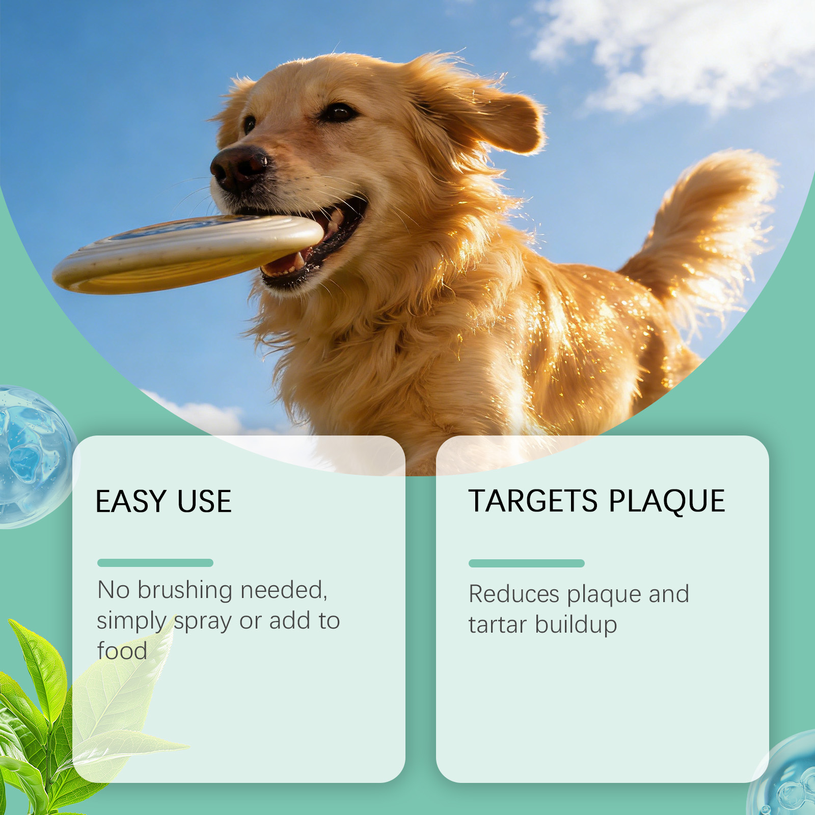 Pet Oral Spray Freshens Breath Removes Plaque Protects Gums Safely Used For Cats And Dogs All Small Domestic Pets