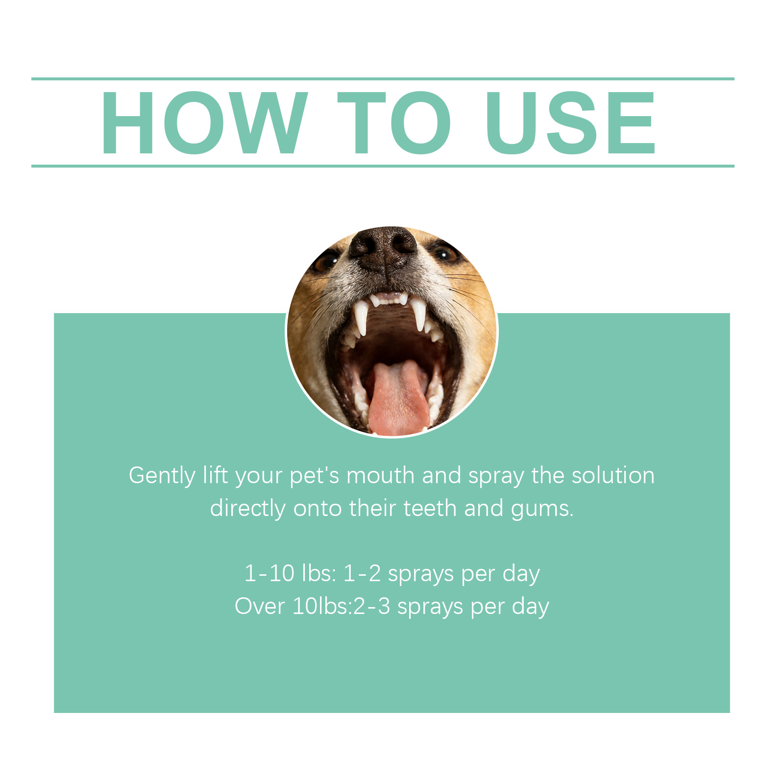Pet Oral Spray Freshens Breath Removes Plaque Protects Gums Safely Used For Cats And Dogs All Small Domestic Pets