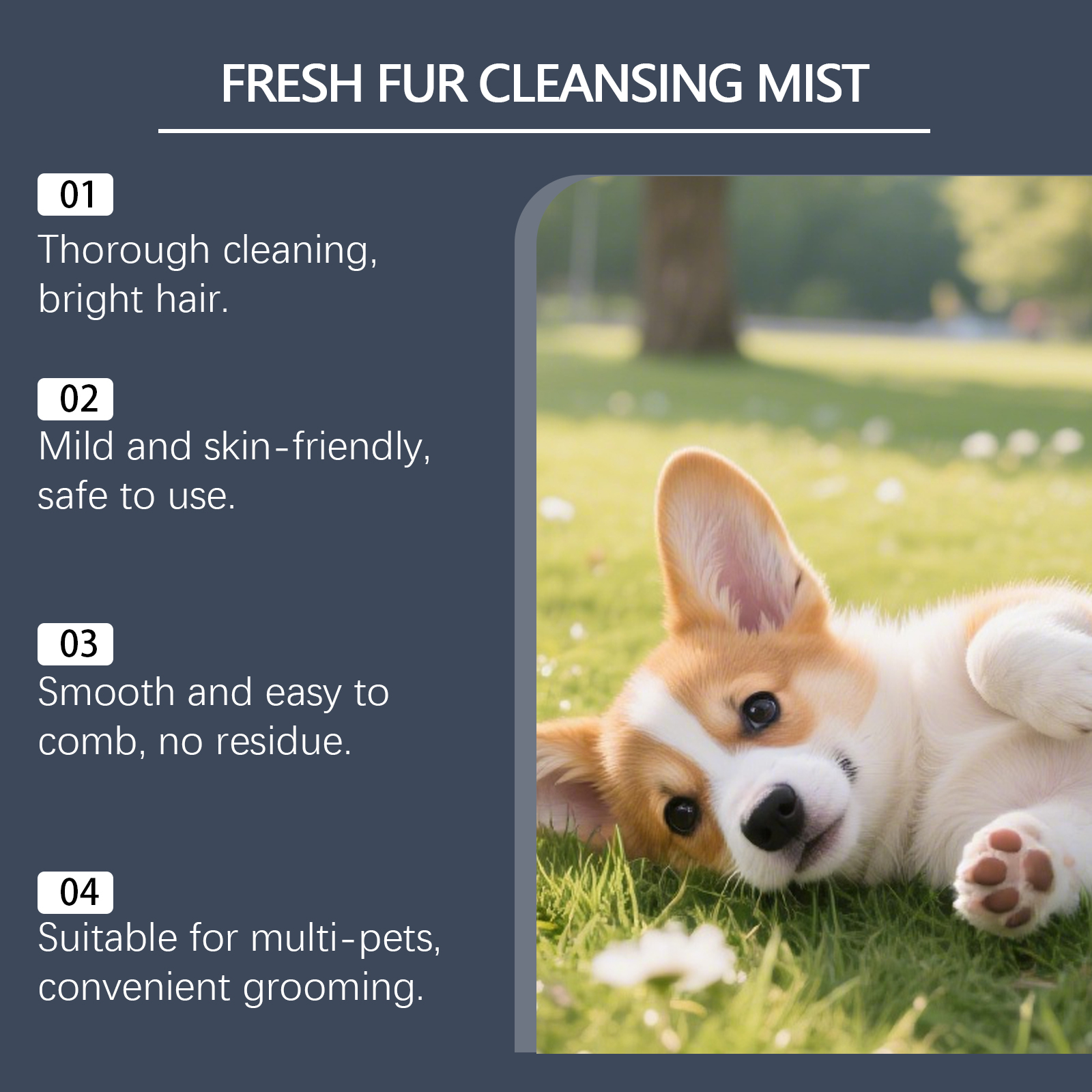 Pet Hair Cleansing Spray Smooth Refreshing Daily Light Fluffy Easy Combing For Cats Dogs