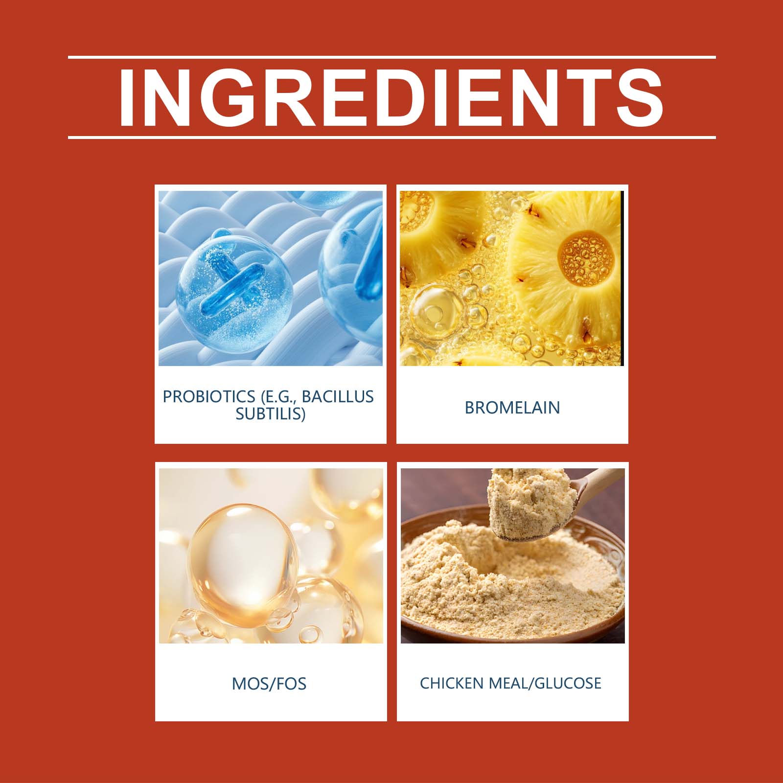 Pet Probiotic Supplement Gentle Ingredients Nurture Body Comfort Daily Care For Dogs Regular Use Healthy Mild Formula Support Canine Wellness