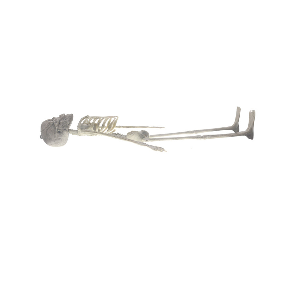Human Skeleton Prop Halloween Party Decoration