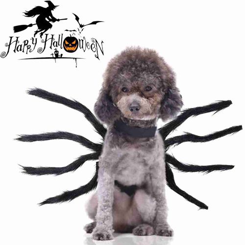 Halloween Pet Clothes Cat Dress Cosplay Costume Dog Halloween Costume Funny Dog Pet Outfits Plush Spider Cosplay Decoration Party costumes for Small Dogs Medium Large Dogs