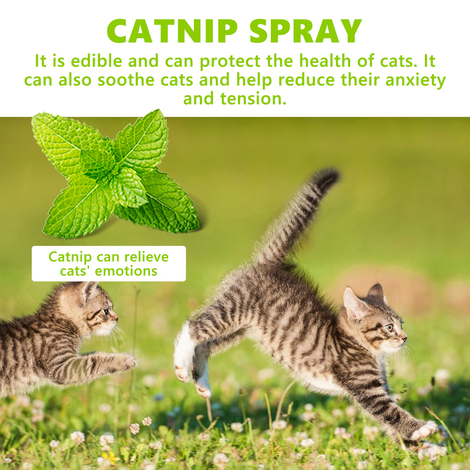 Catnip Spray For Cat Calming Anxiety Relief Energy Boost Playtime Enrichment Daily Pet Care 1 PCS