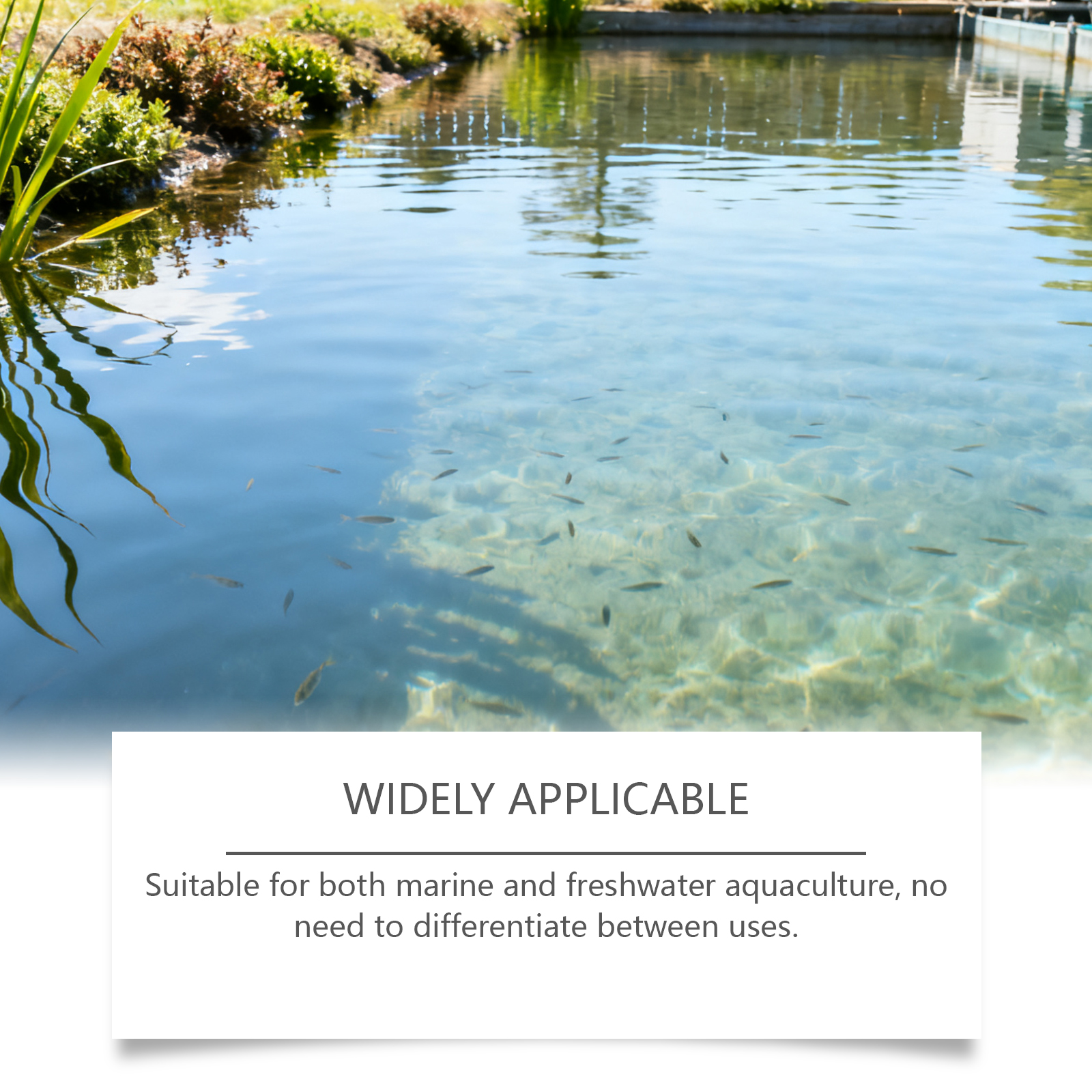 Fish Tank Cleaner Water Clarifying Powder For Cloudy Water Long Lasting Clear Odor Elimination Water Clarifying Powder Aquarium ﻿