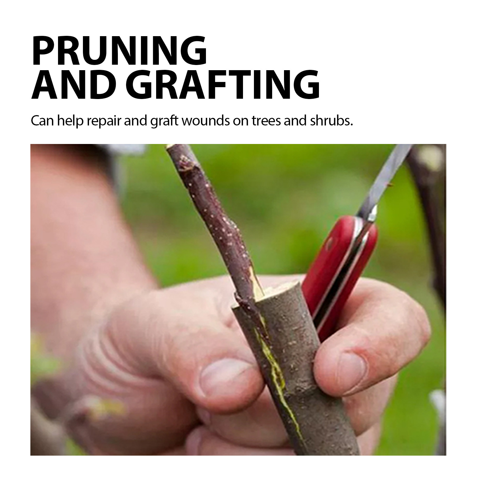 100g Tree Grafting Paste Tree Wound Paste Smear Agent Tree Pruning Sealer Plant Saw Cuts Coating Pruning Heal Wound Repair Tools ﻿