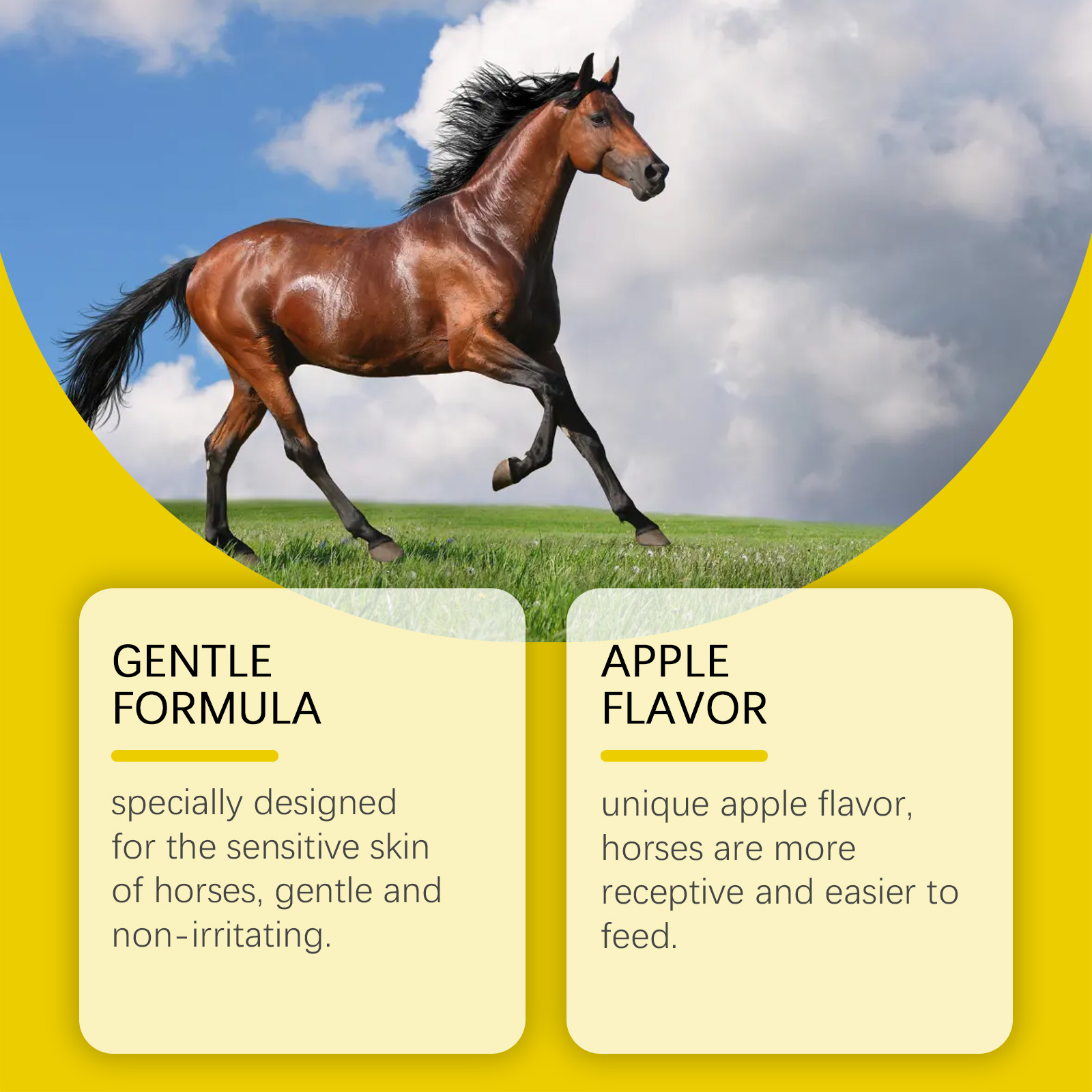 Apple Flavored Horse Ointment Mild Formula Repel Insects Regulate Balance Non Irritating Three Pack Special Care For Horses