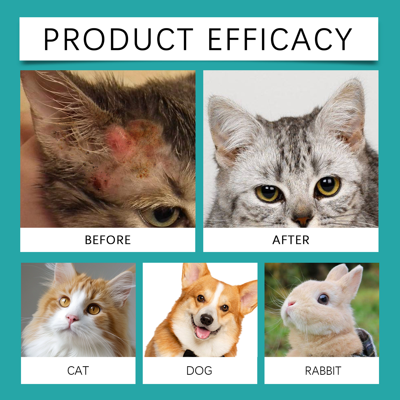 Pet Ear Cleaning Finger Wipes Gentle Remove Ear Dirt Odor For Daily Pet Care