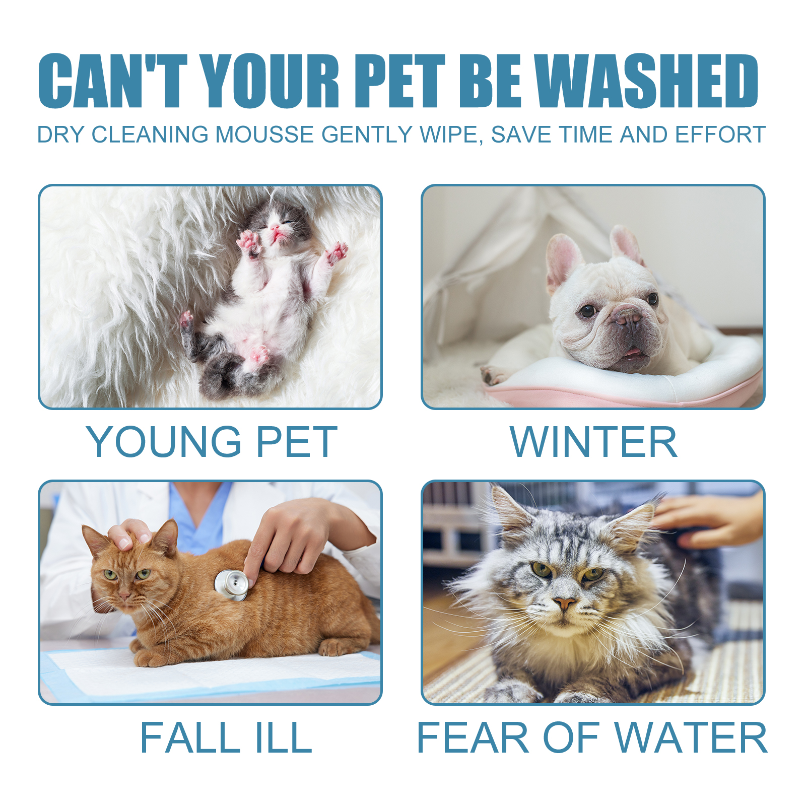 Pet Dry Shampoo Foam No Rinse Cleansing Deodorizing For Cats And Dogs Daily Grooming Care