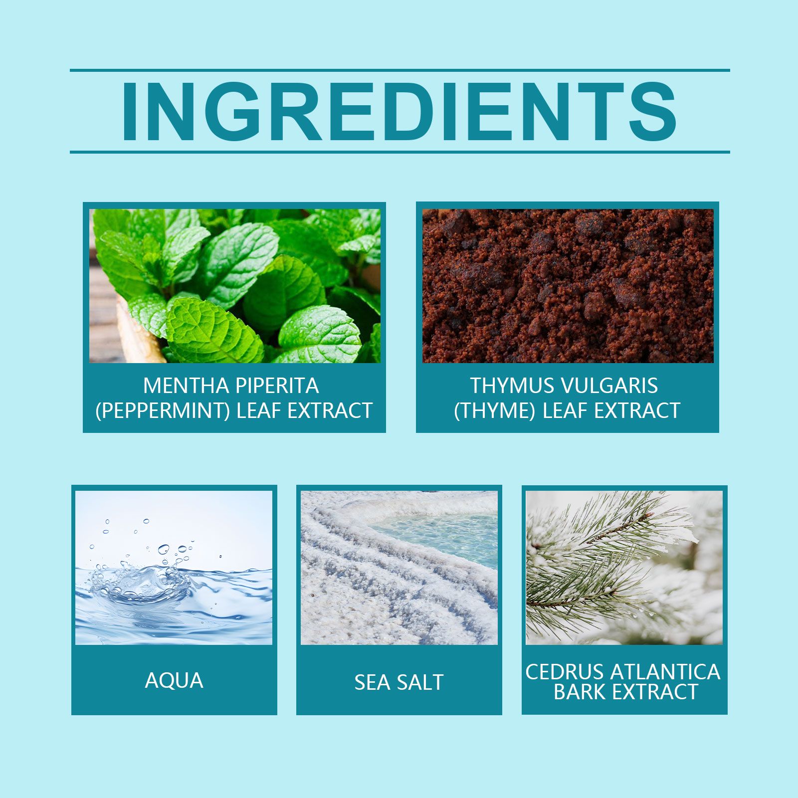 Mint Sea Salt Perfume Fresh Woody Long Lasting Elegant For Daily Wear And Dates