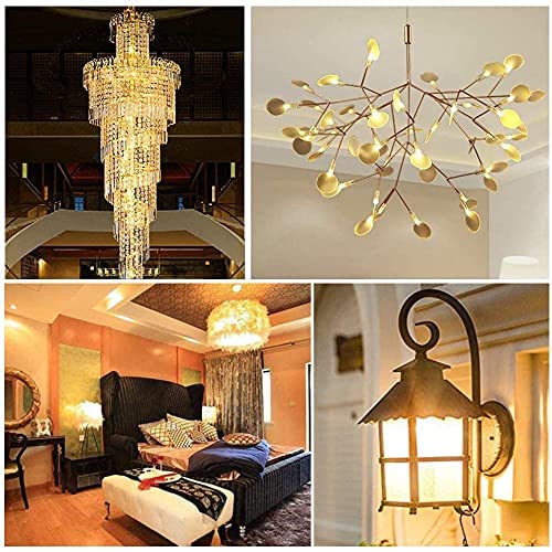 (10 Watts) G4 Halogen Light Bulbs 20W 12V Clear Capsule 2 Pin Lamp Bulb Halogen Pin Base Warm White Dimmable 10 Pack