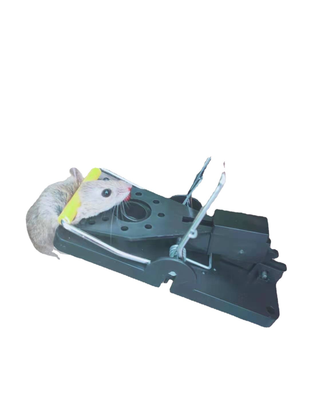 6 x Mouse Trap Reusable Snap Traps High Sensitive Mice Catcher Safe and Effective Rodent Trap for Indoors and Outdoors