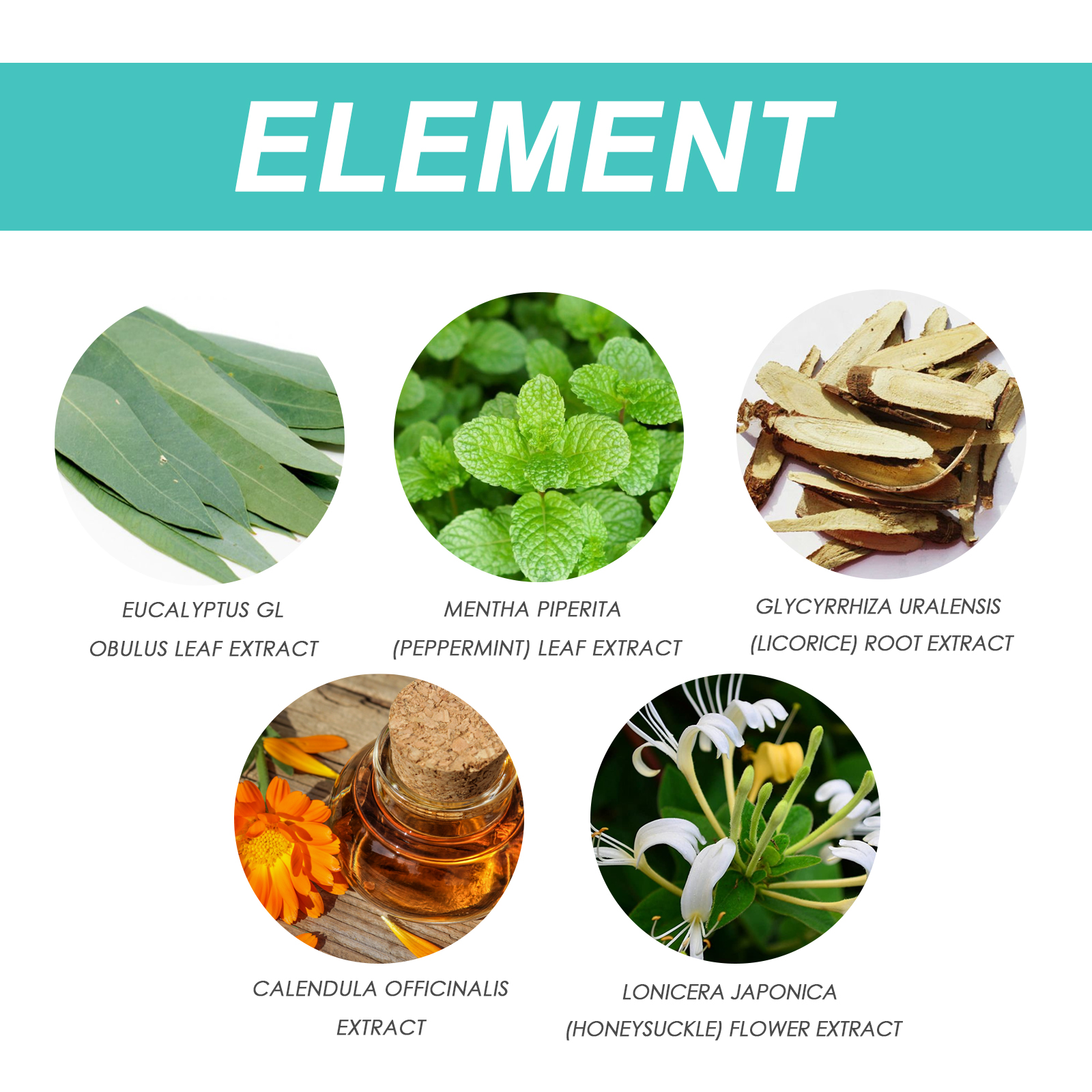 Lung Cleansing Spray Body Treatment Herbal Lung Clear Detox for Smokers Breathing Comfort Throat Cough Relief