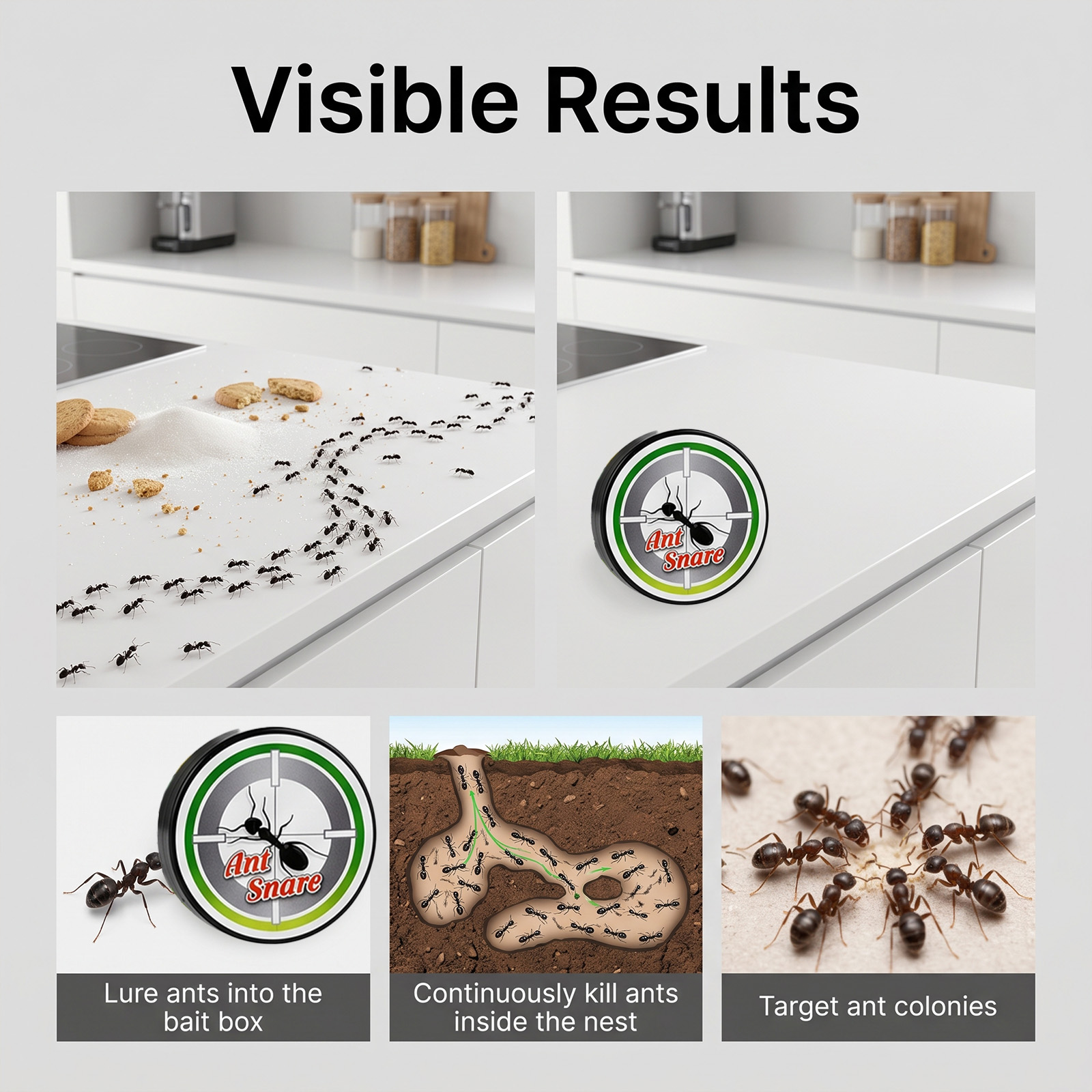 Ant Trap Box Household Practical Easy Operate Kitchen Bathroom Corner Window Daily Pest Catcher