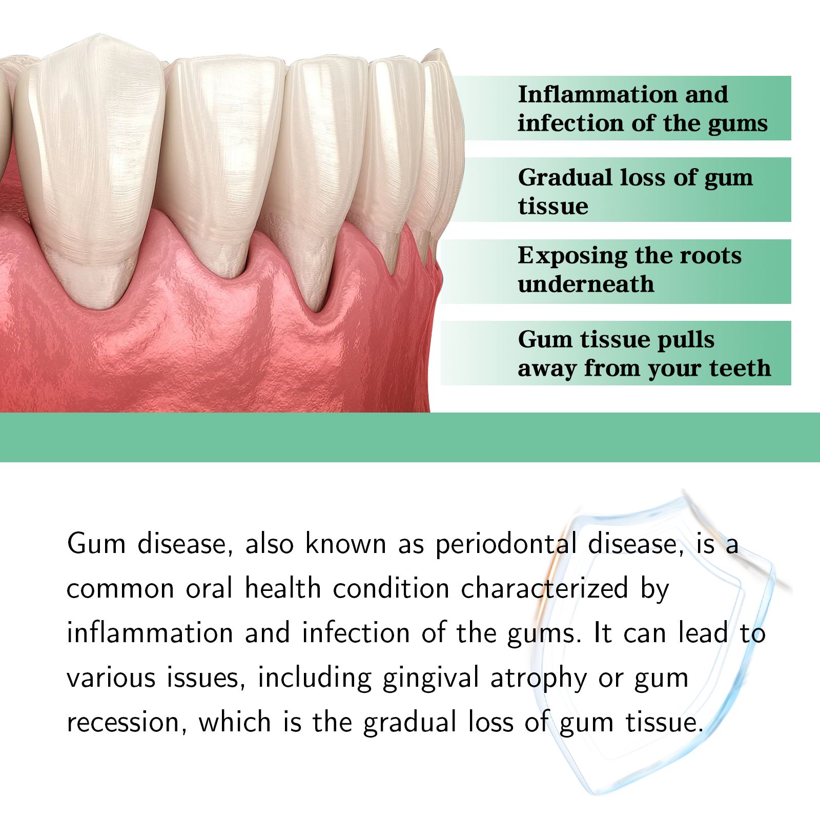 Gum Care Drops Soothing Oral Hygiene Support For Gum Health Daily Mouth Cleaner