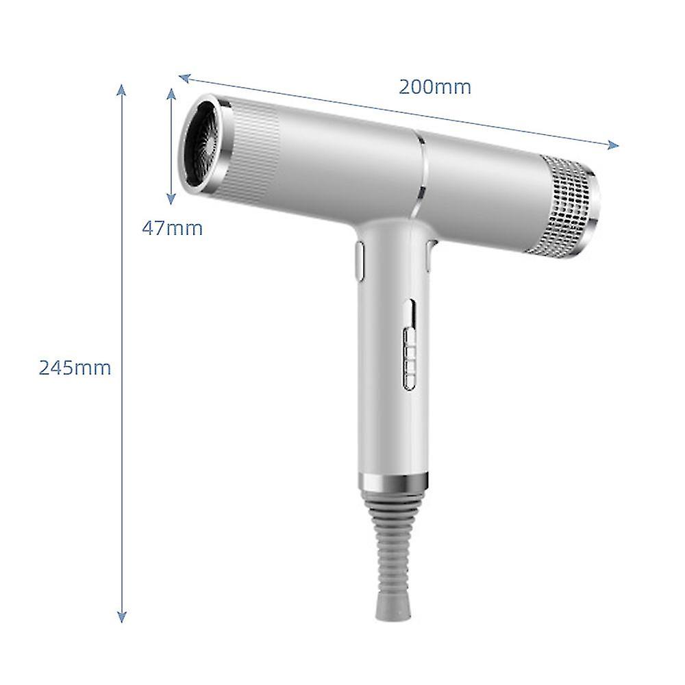 (Silver) Hair Dryer Professional Fast Drying Negative Ionic Blow Dryer Lightweight Powerful High-Speed No Heat Damage Intelligent Thermo-Control Low Noise