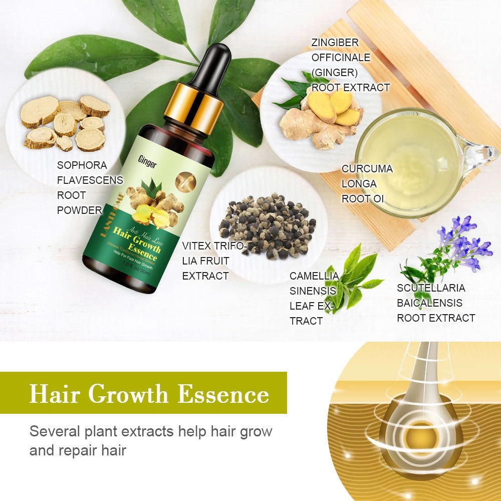 Ginger Hair Essential Oil For Scalp Nourishing Root Strengthening And Hair Vitality Daily Care Treatment