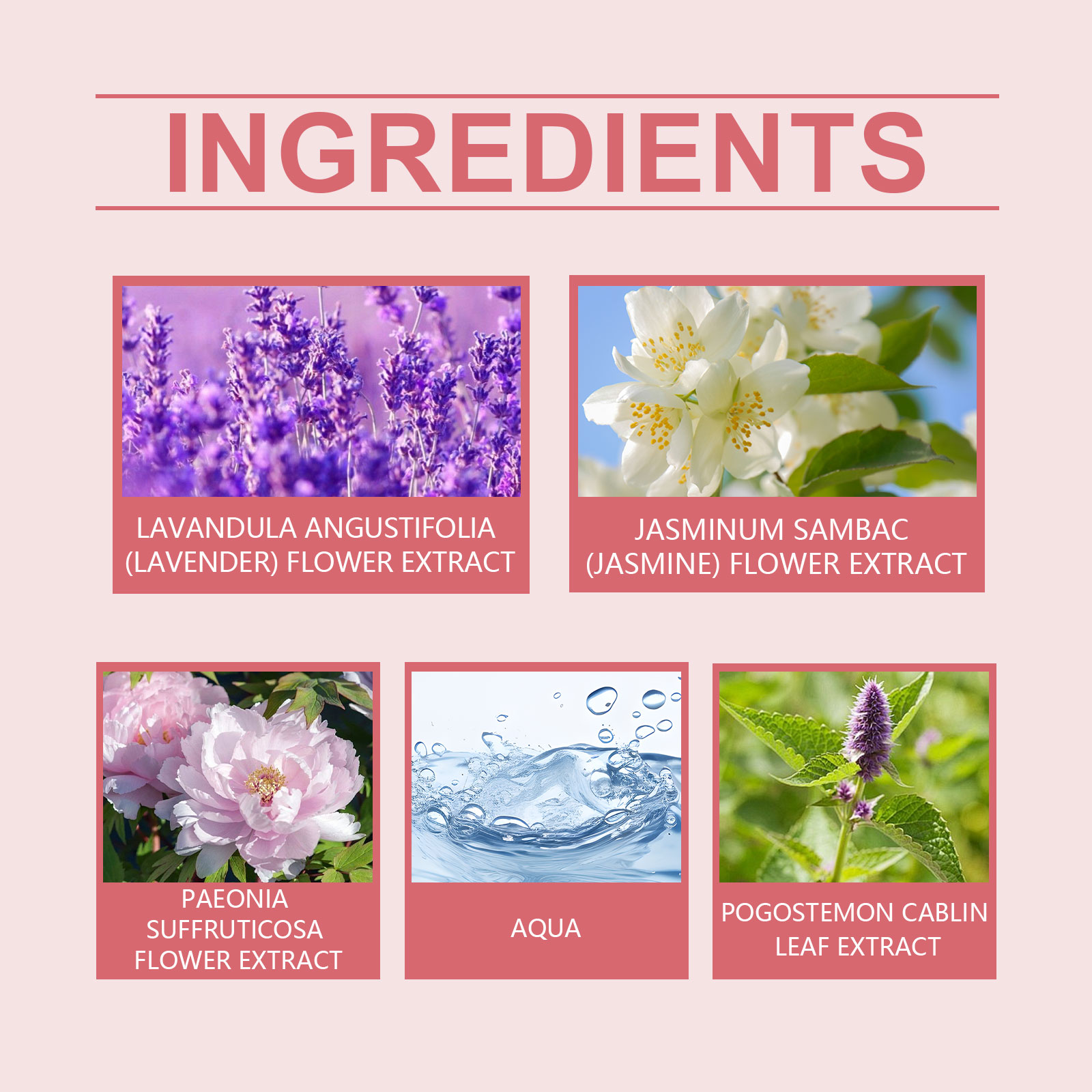 Peony Scent Eternal Perfume Natural Fresh Fragrance Release Charm Long Lasting Light Elegant Charm Dating Atmosphere Perfume