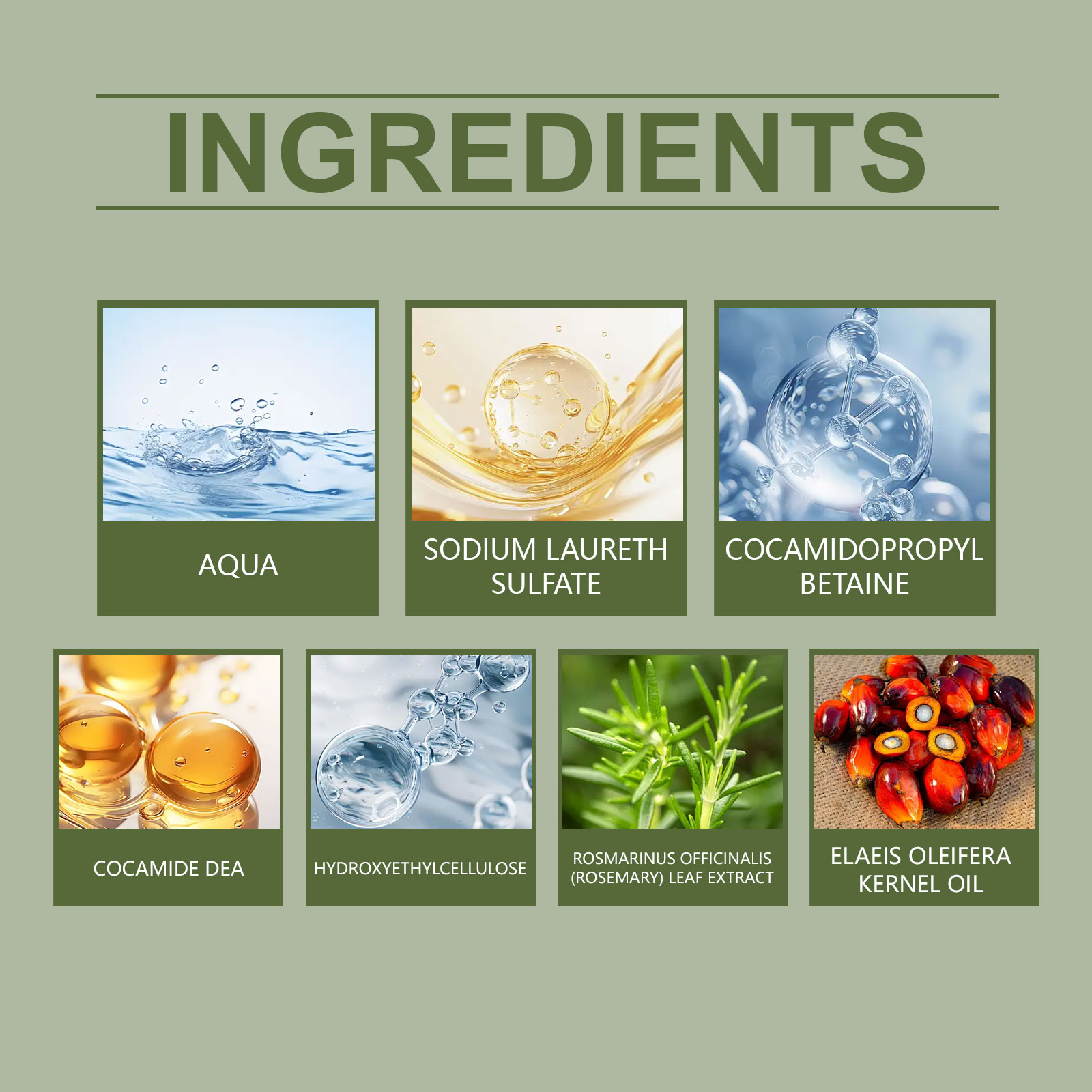 Rosemary Shampoo Moisturizes Cleanses Scalp Strengthens Hair Reduces Scalp Discomfort For Daily Hair Care