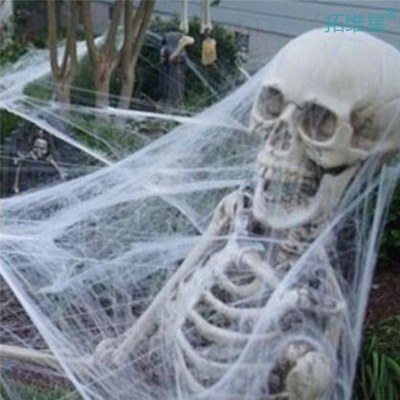 Halloween Spider Web Decorations Outdoor New for Bloody Decoration