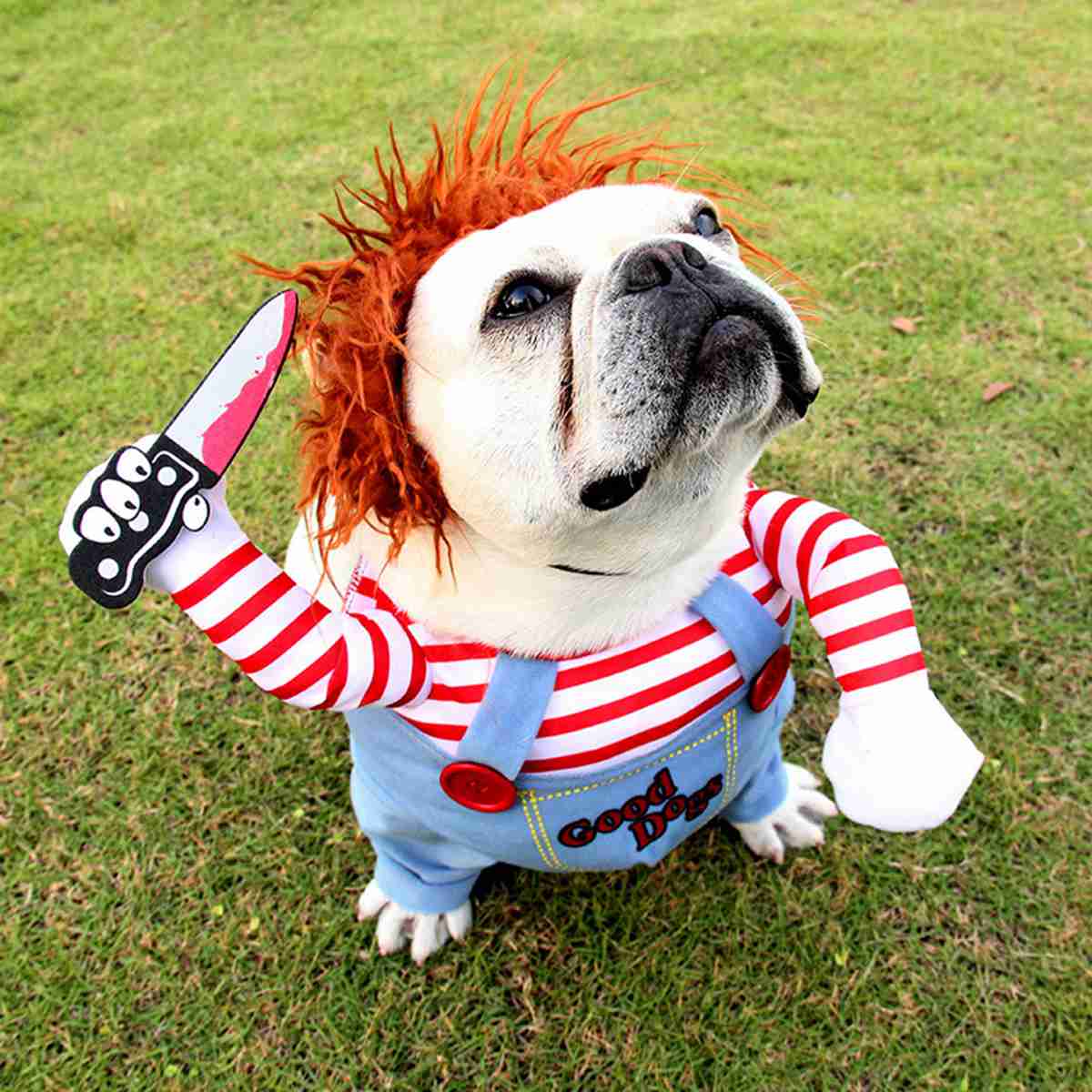 (S) Halloween Pet Clothes Deadly Doll Dog Clothes, Pets Costume Halloween Cosplay for Dogs, Funny Dog Party Clothes Hat Christmas Costume Dog Party Clothes
