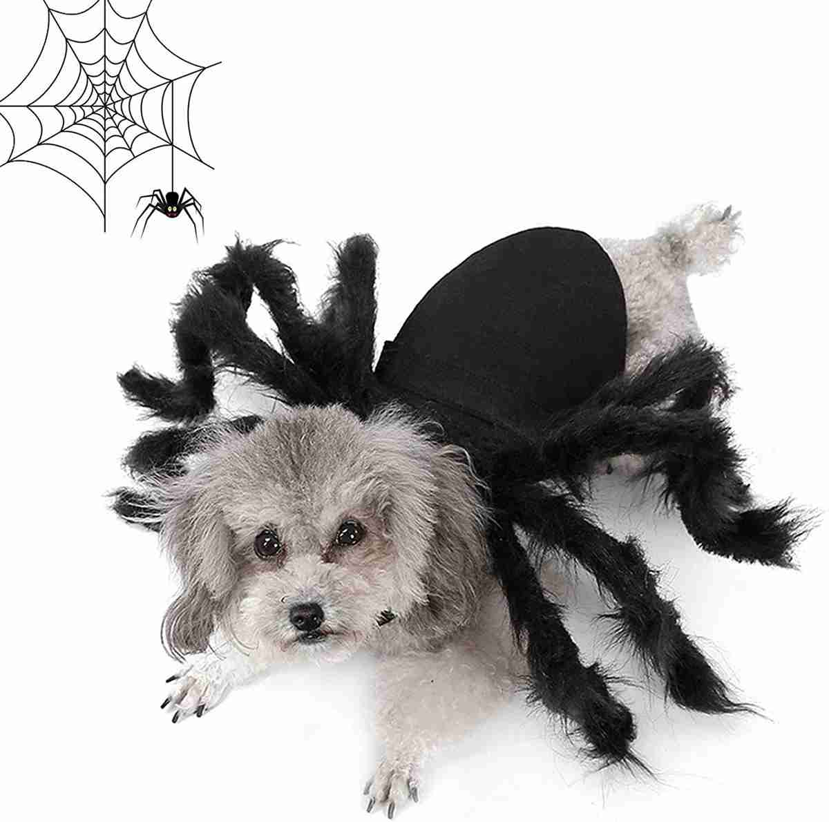 (S) Halloween Pet Clothes Cat Dress Cosplay Costume Dog Halloween Costume Funny Dog Pet Outfits Plush Spider Cosplay Decoration Party costumes for Small Dogs Medium Large Dogs
