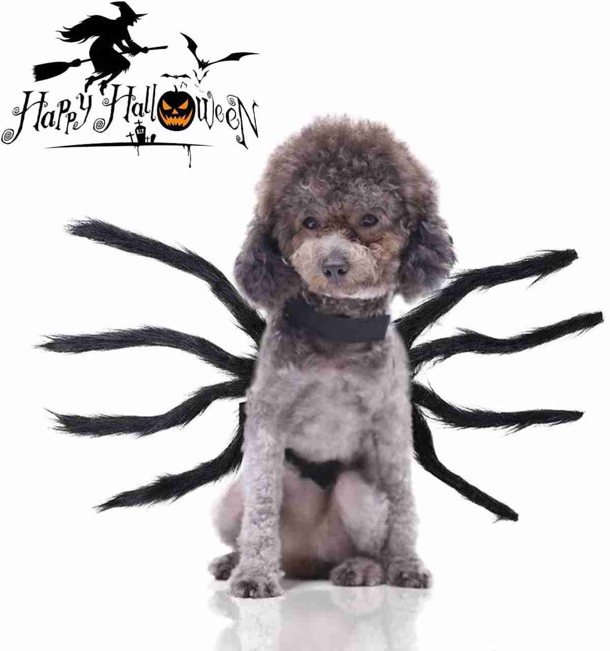(S) Halloween Pet Clothes Cat Dress Cosplay Costume Dog Halloween Costume Funny Dog Pet Outfits Plush Spider Cosplay Decoration Party costumes for Small Dogs Medium Large Dogs