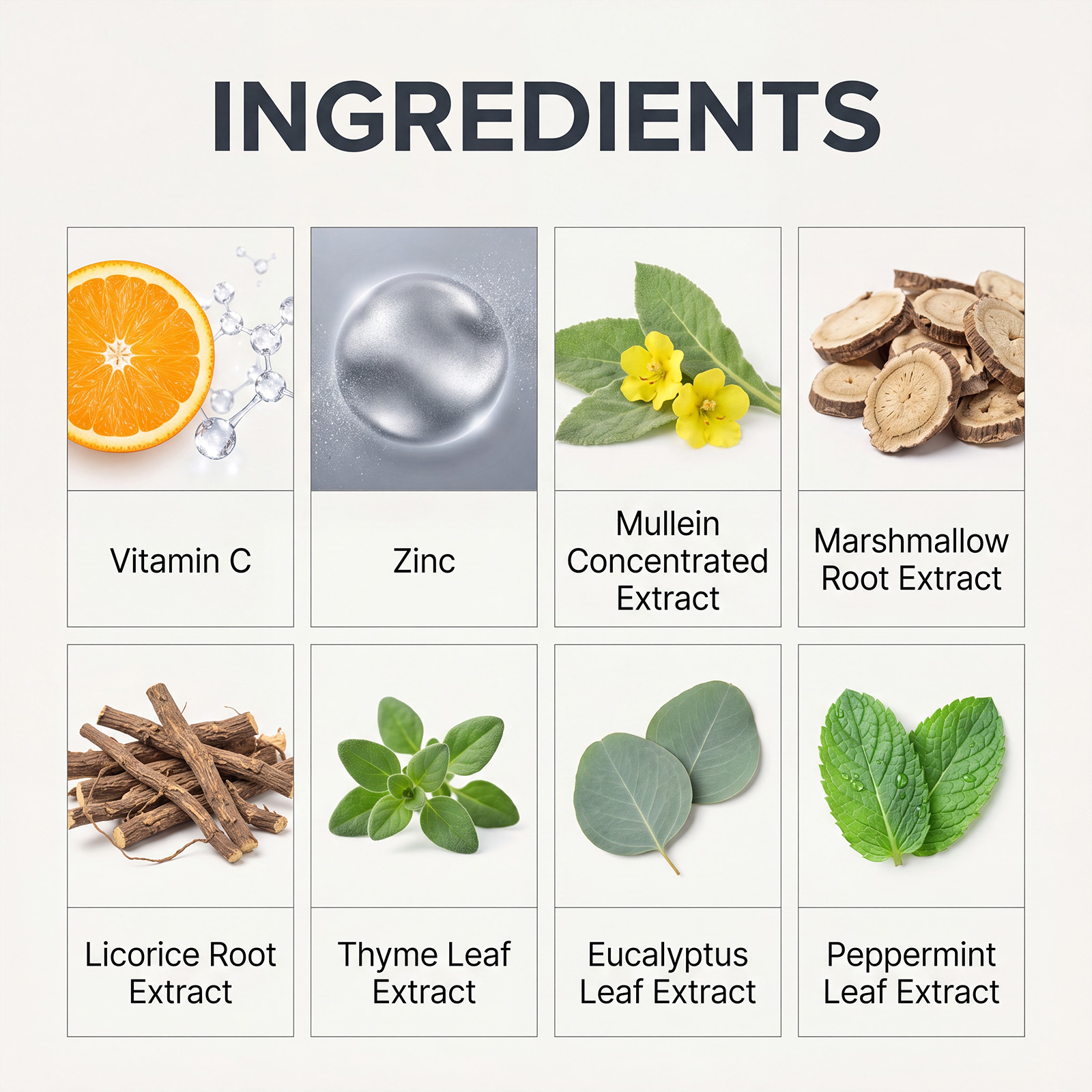 Mullein Nutrition Drops Mild Herbal Formula Gentle Care Daily Portable Body Supplement Treatment