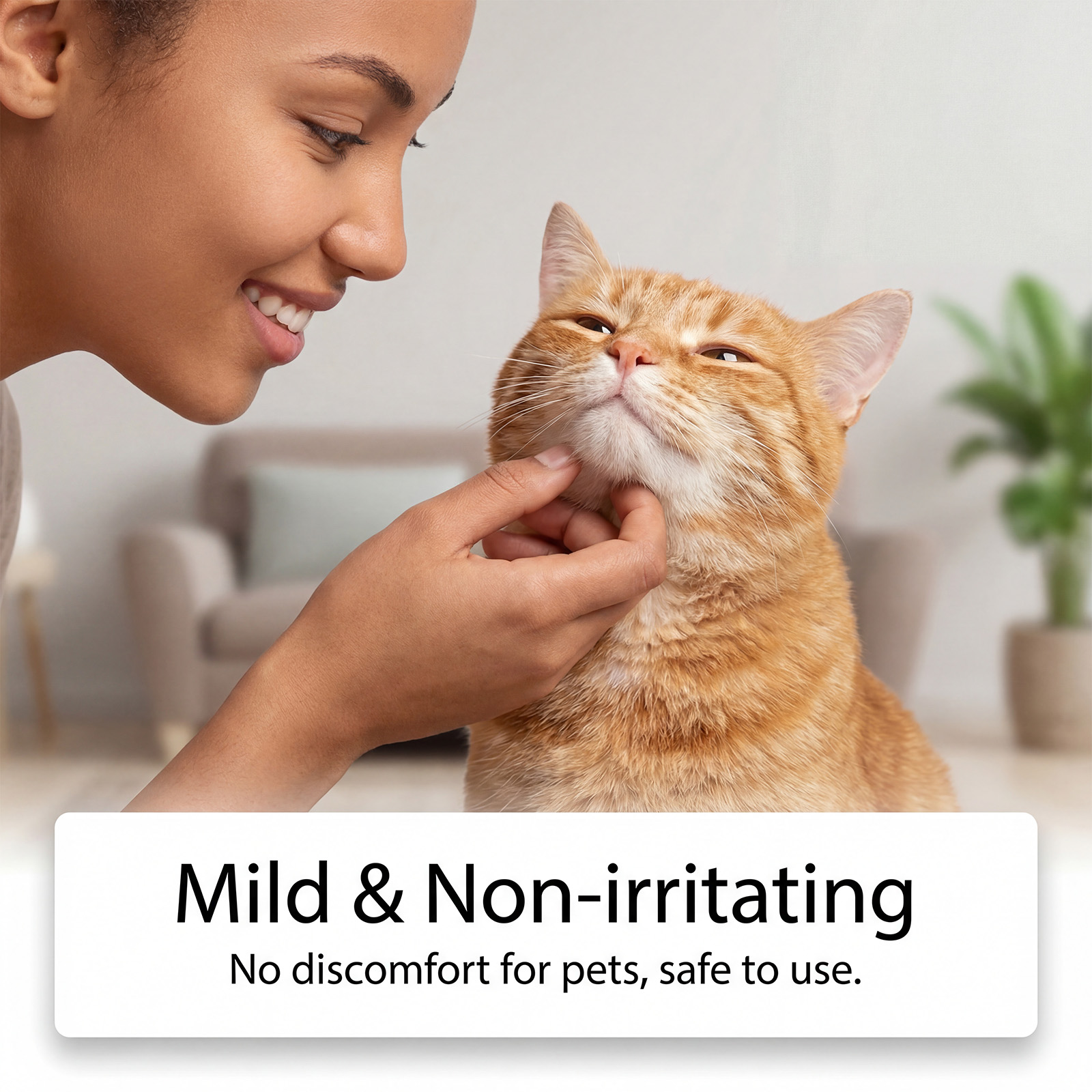 Cat Cleaning Chin Finger Wipes Mild Purify Pet Hair Neat Comfort Fresh