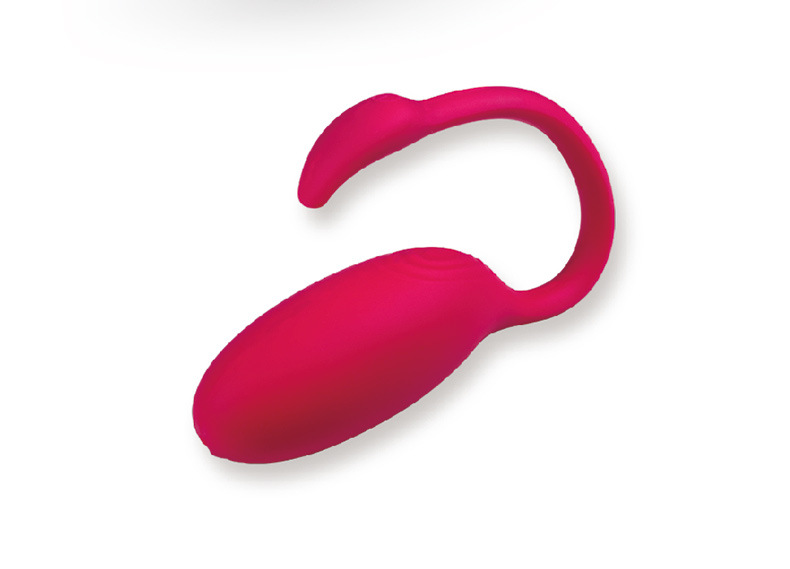 APP Controlled Wearable Egg Vibrator G-Spot Clitoral Knicker Vibrator Clit Massage Stimulator Dildo Silicone Sex Toy for Women