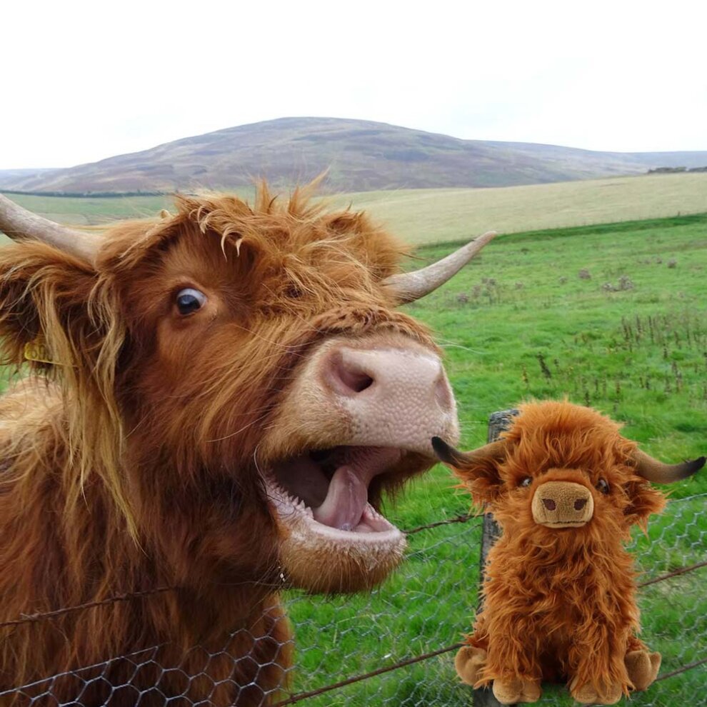 Highland Cow Brown Plush Toy Plush Cute Cuddly Toys Kids Soft Toy Gift for Kids