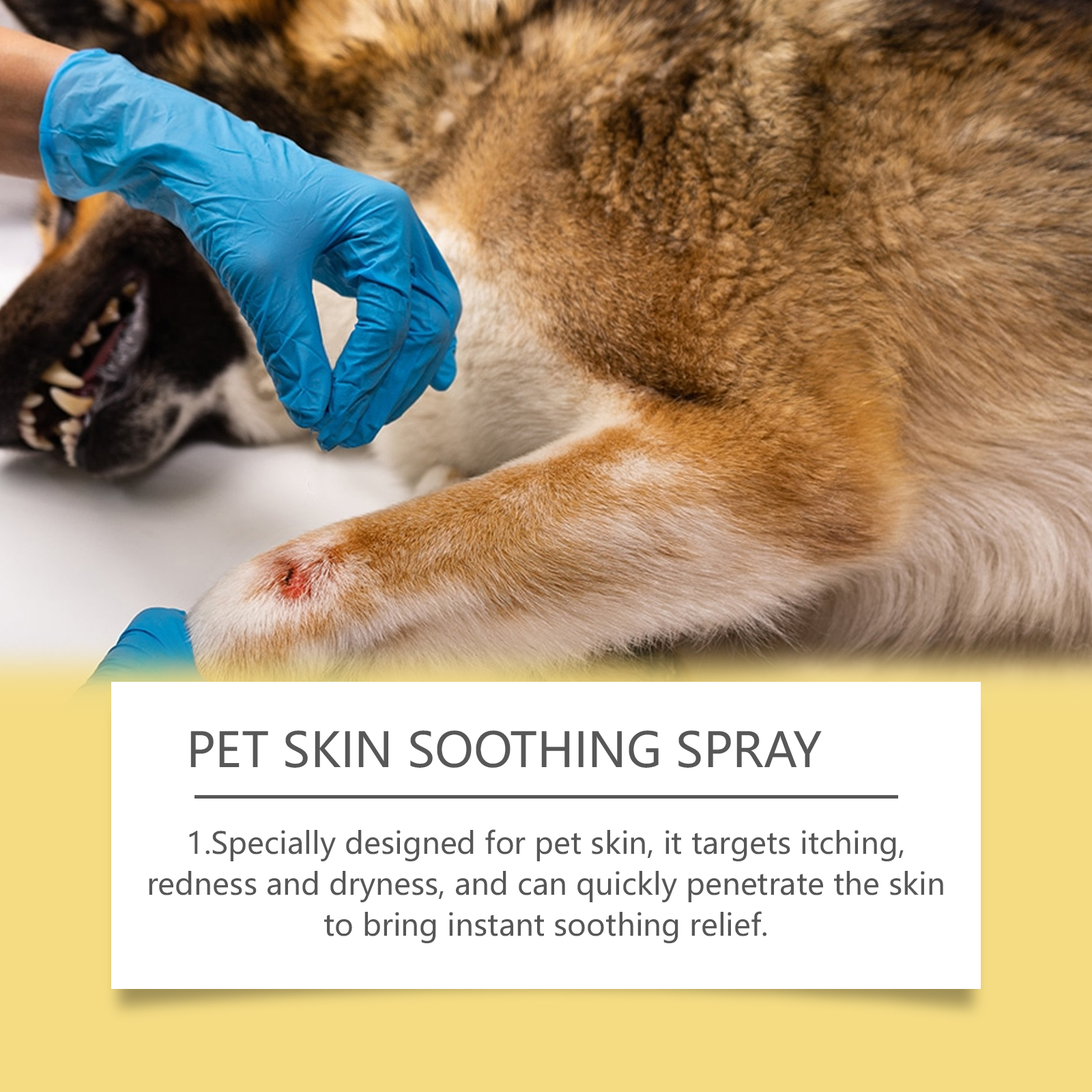 Pet Skin Care Spray With Mild Ingredients Relieve Pet Skin Discomfort External Care Spray