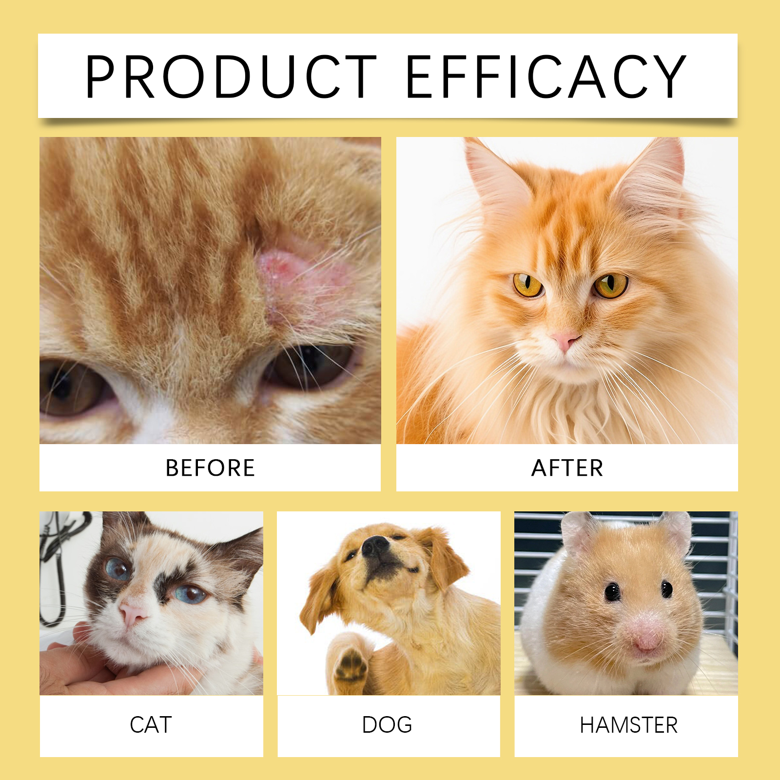 Pet Skin Care Spray Soothing Itch Relief For Redness Dryness Dogs Cats Gentle Formula Daily External Use