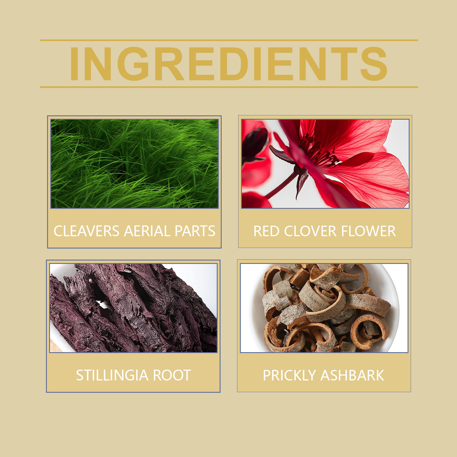 Herbal Supplement Herbal Formula Boost Daily Vitality Body Care Dietary Supplement