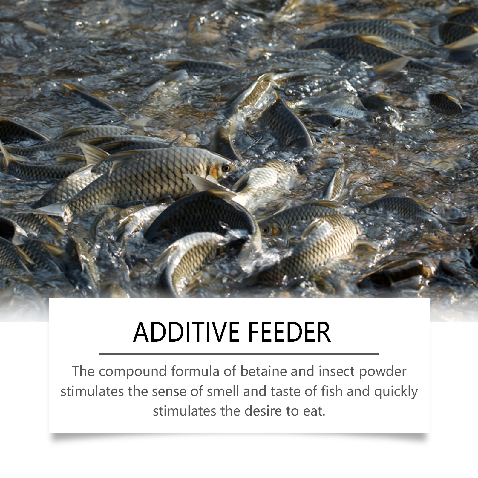 100ml Natural Worm Concentrate Fishing Baits Fish Lure Attraction Enhancer Red Worm Baits Fish Attractant for Trout ﻿