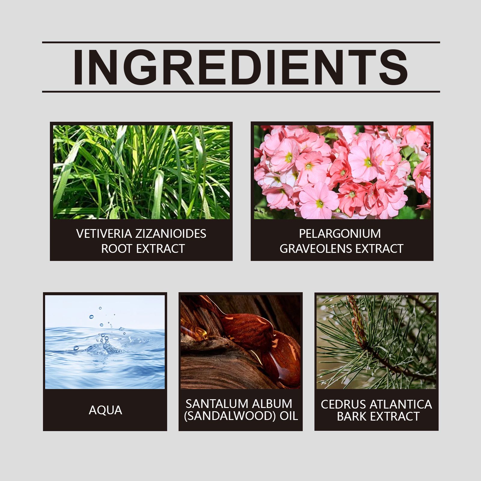 Geranium Inspiring Perfume Woody Floral Long Lasting Elegant For Daily Wear