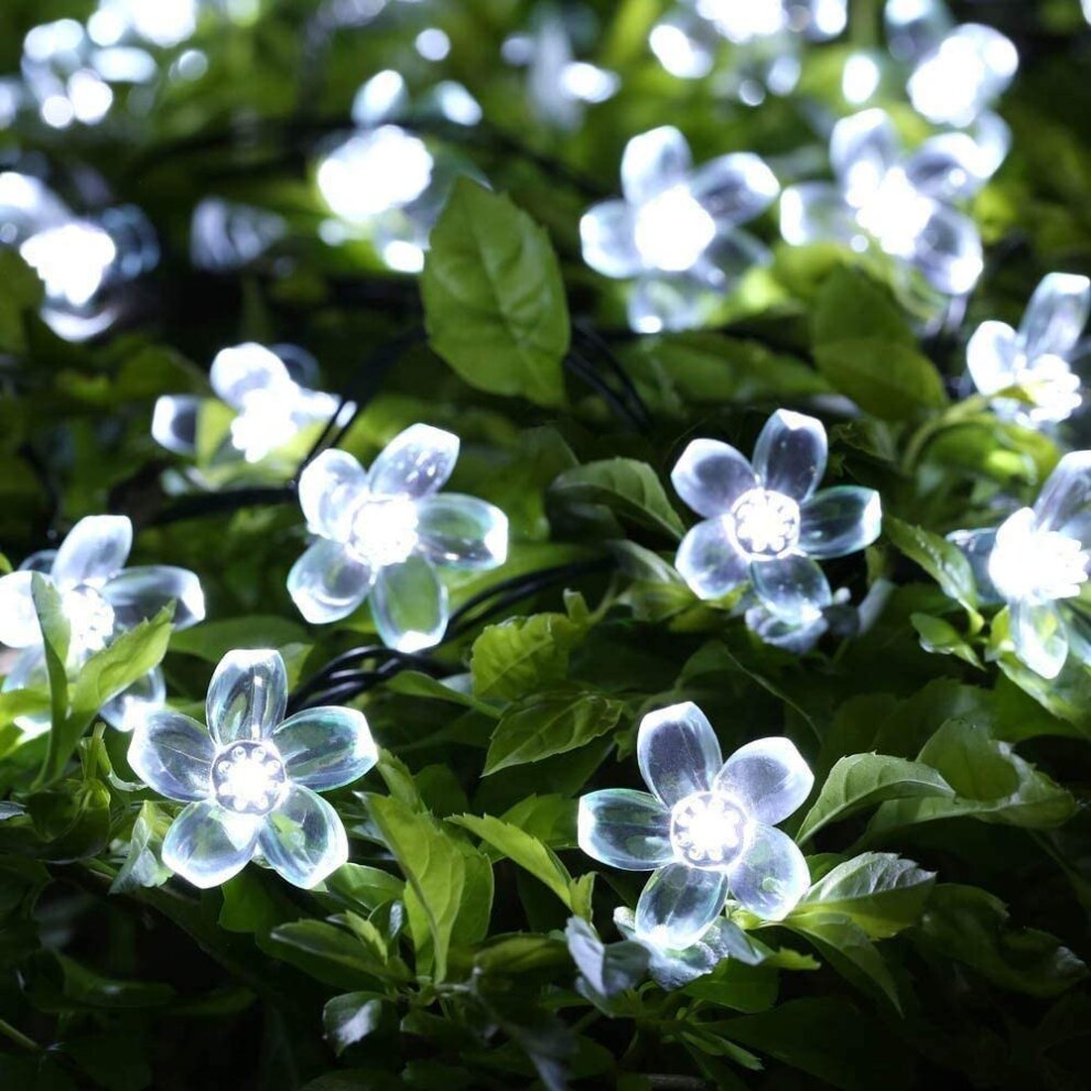 Solar Flower Garlands Outdoor,Waterproof 7M 50LED Lights- Cool White