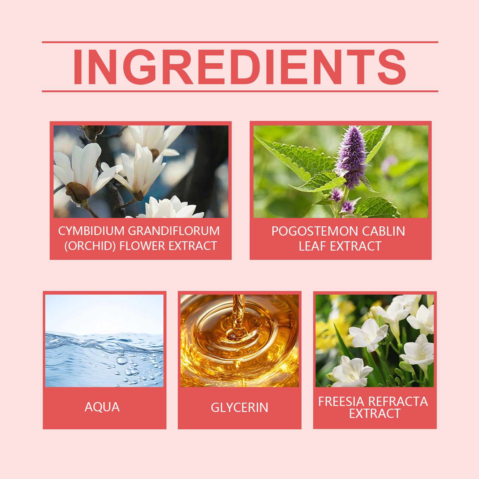 Elegant Orchid Perfume Long Lasting Fragrance Natural Fresh Elegant Charming Daily Dating Portable