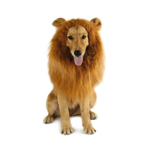 Lion Mane Wig Pet Costume Funny Fancy Dress with Ears for Dogs