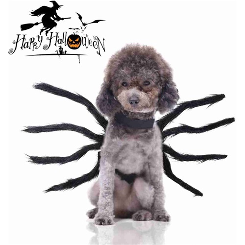 Spider Pet Costume Halloween Cat Dog Outfit Plush Cosplay S-XXL